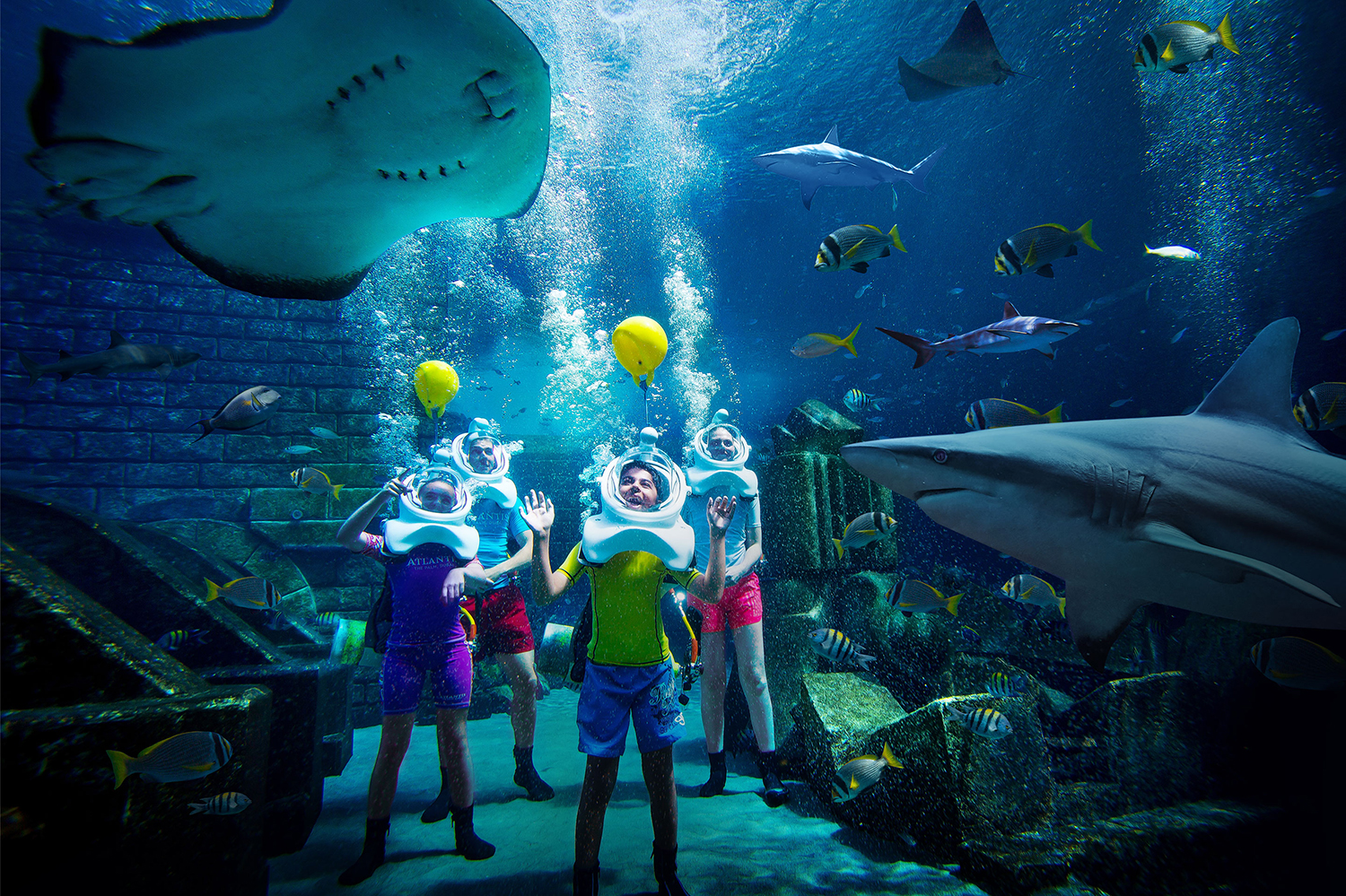 Туры в ATLANTIS THE PALM, фото 3