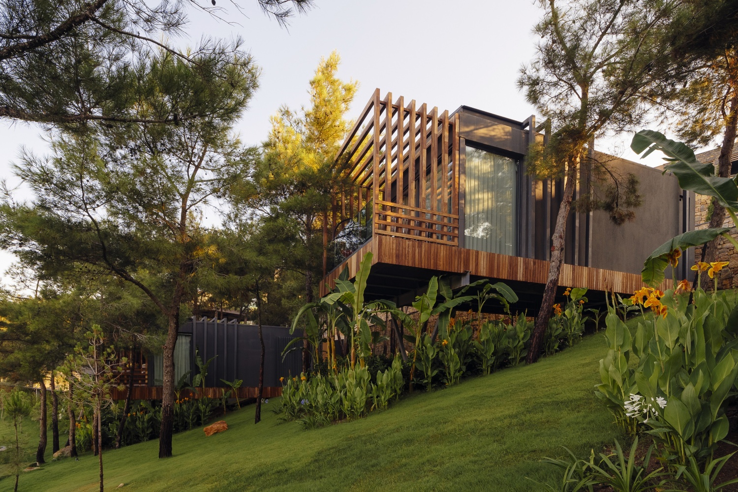 Номер Forest отеля LUJO HOTEL BODRUM (EX. LUJO ART & JOY) Номер Forest