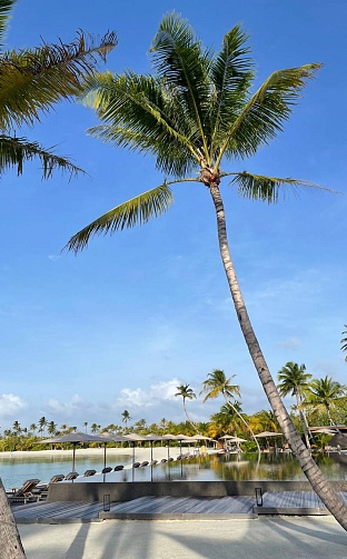 Фото отеля PATINA MALDIVES FARI ISLANDS 5* от наших менеджеров