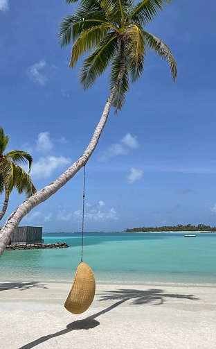 Фото отеля PATINA MALDIVES FARI ISLANDS 5* от наших менеджеров
