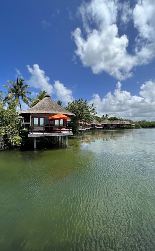 Фото отеля CONSTANCE LE PRINCE MAURICE 5* от наших менеджеров