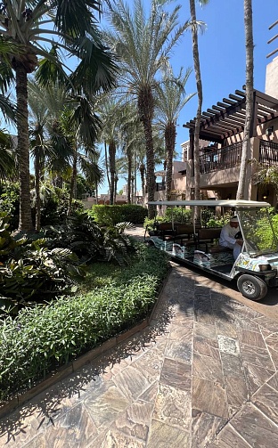 Фото отеля MADINAT JUMEIRAH DAR AL MASYAF 5* от наших менеджеров